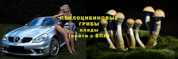 PSILOCYBIN Зеленокумск