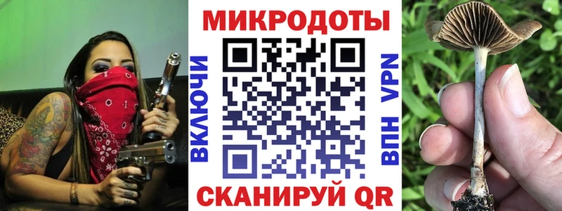 Псилоцибиновые грибы мухоморы  Тайга 